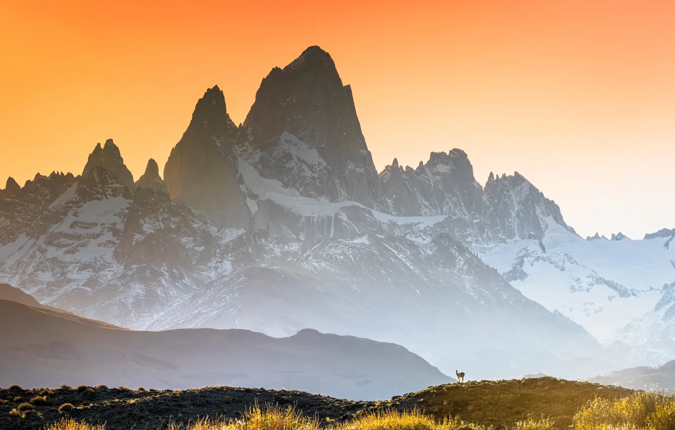 Photo wallpaper clear sky, landscape, nature, Argentina, mountains, snow, animal, Patagonia