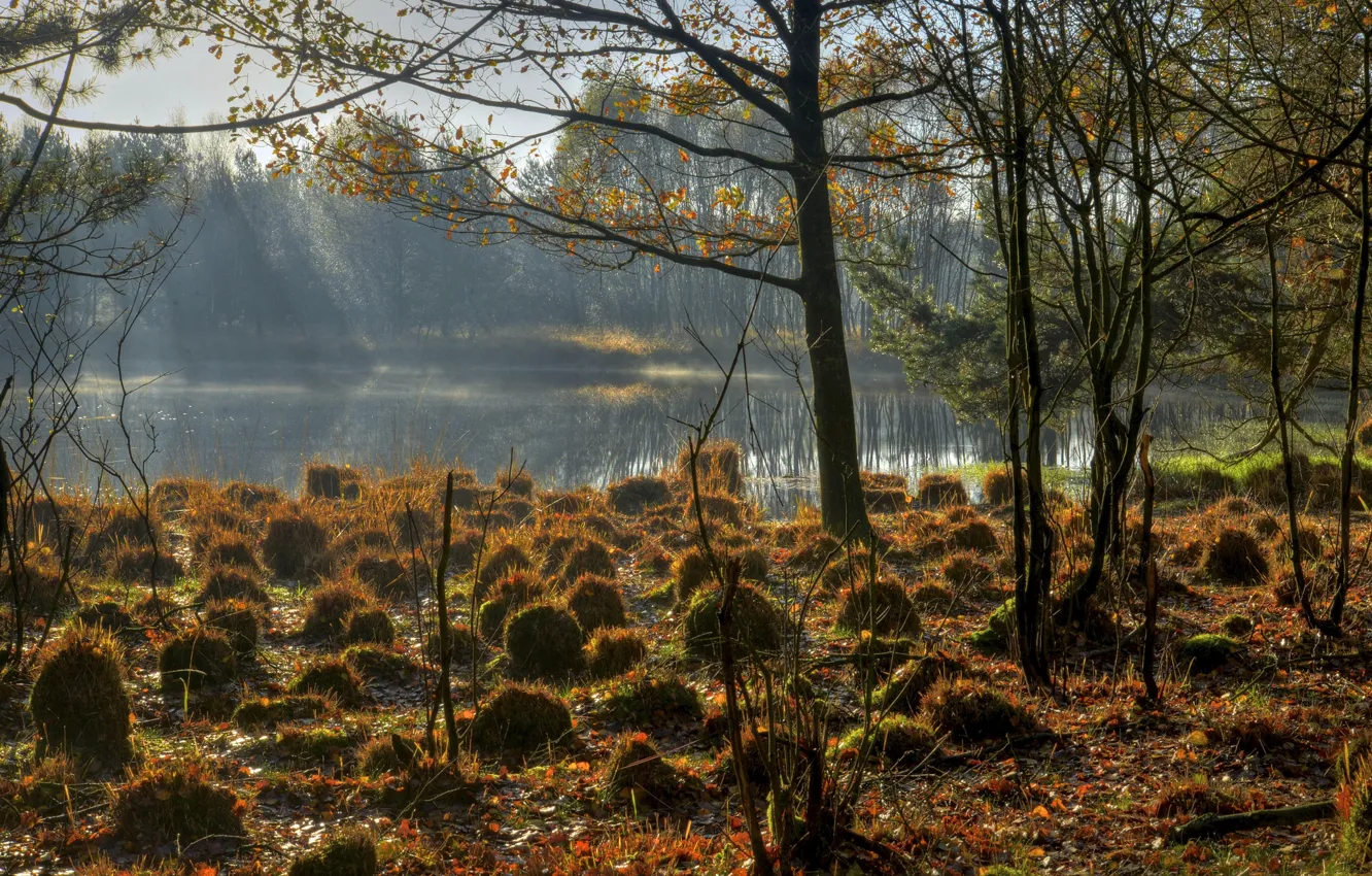 Photo wallpaper autumn, the sky, grass, trees, lake, bumps