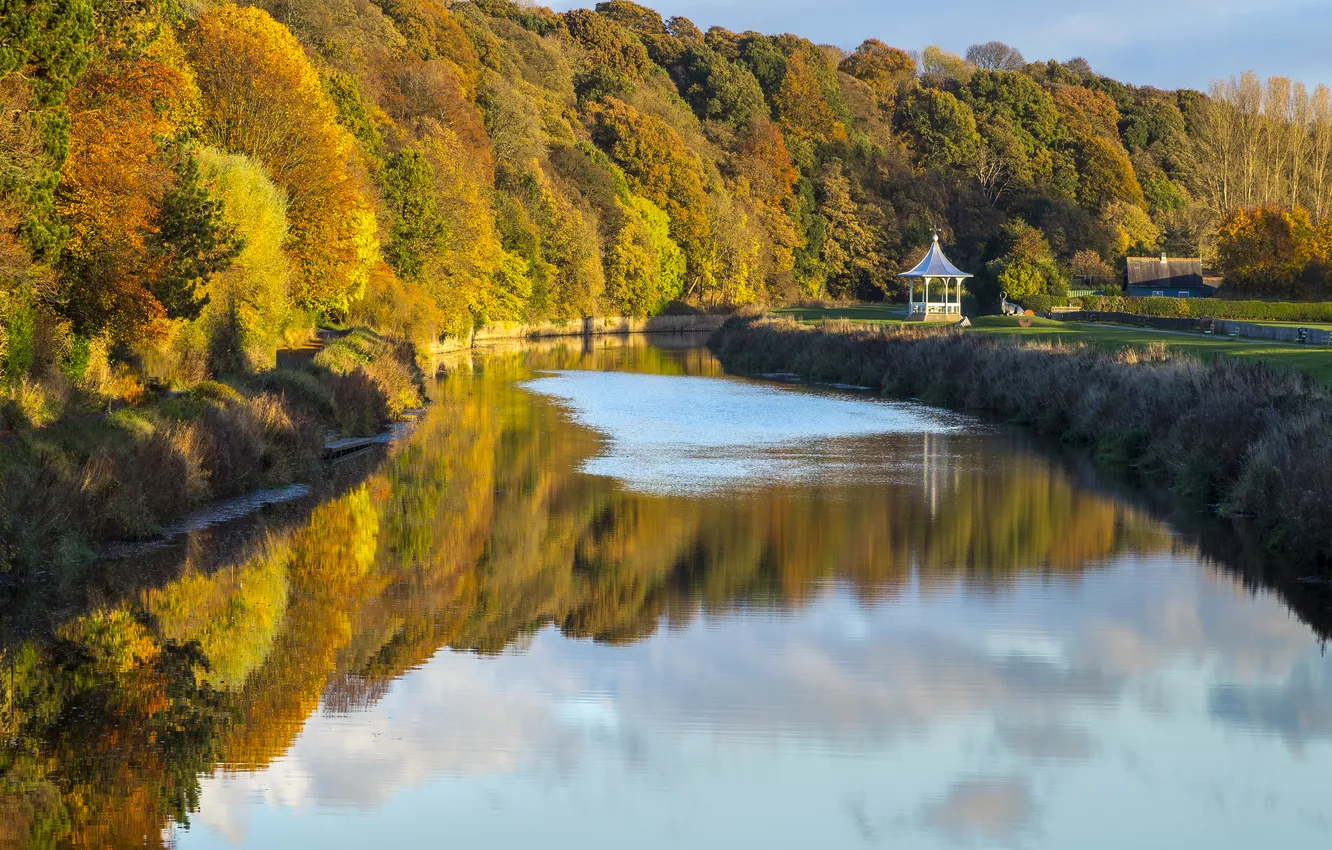 Photo wallpaper autumn, forest, light, reflection, river, shore, shadow, channel