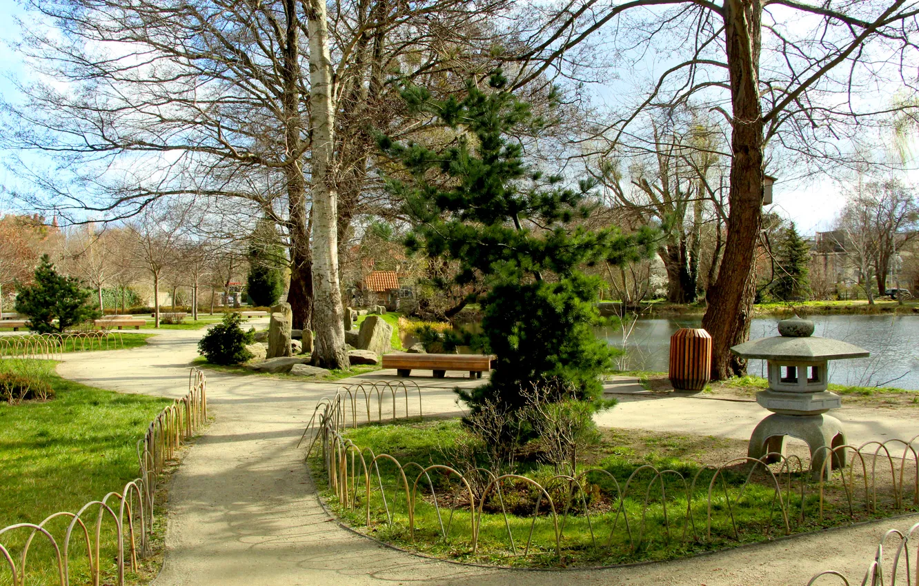 Photo wallpaper trees, park, alley