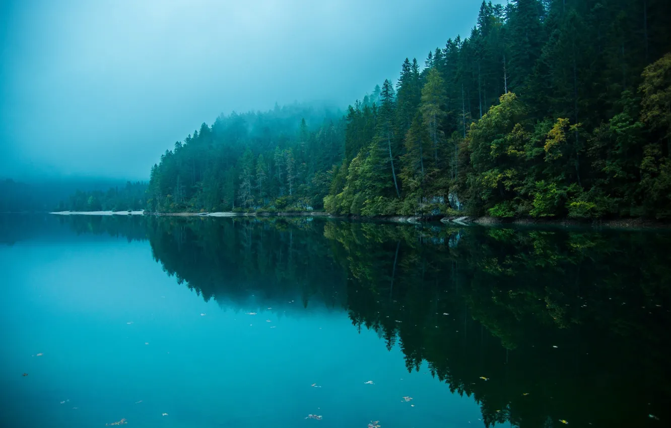 Photo wallpaper forest, the sky, water, reflection, trees, nature, lake, river