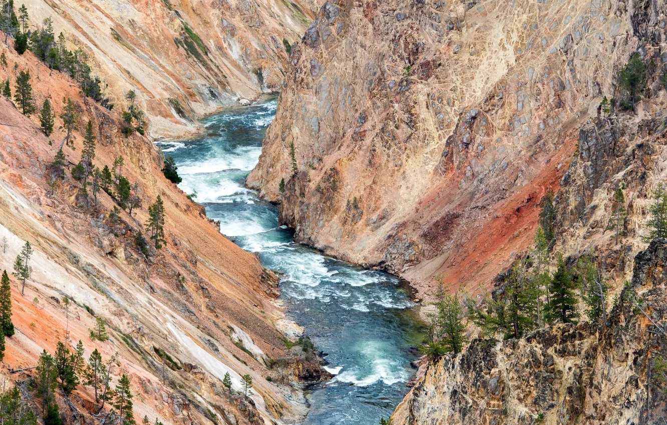 Photo wallpaper trees, landscape, river, rocks, height, stream, canyon, gorge