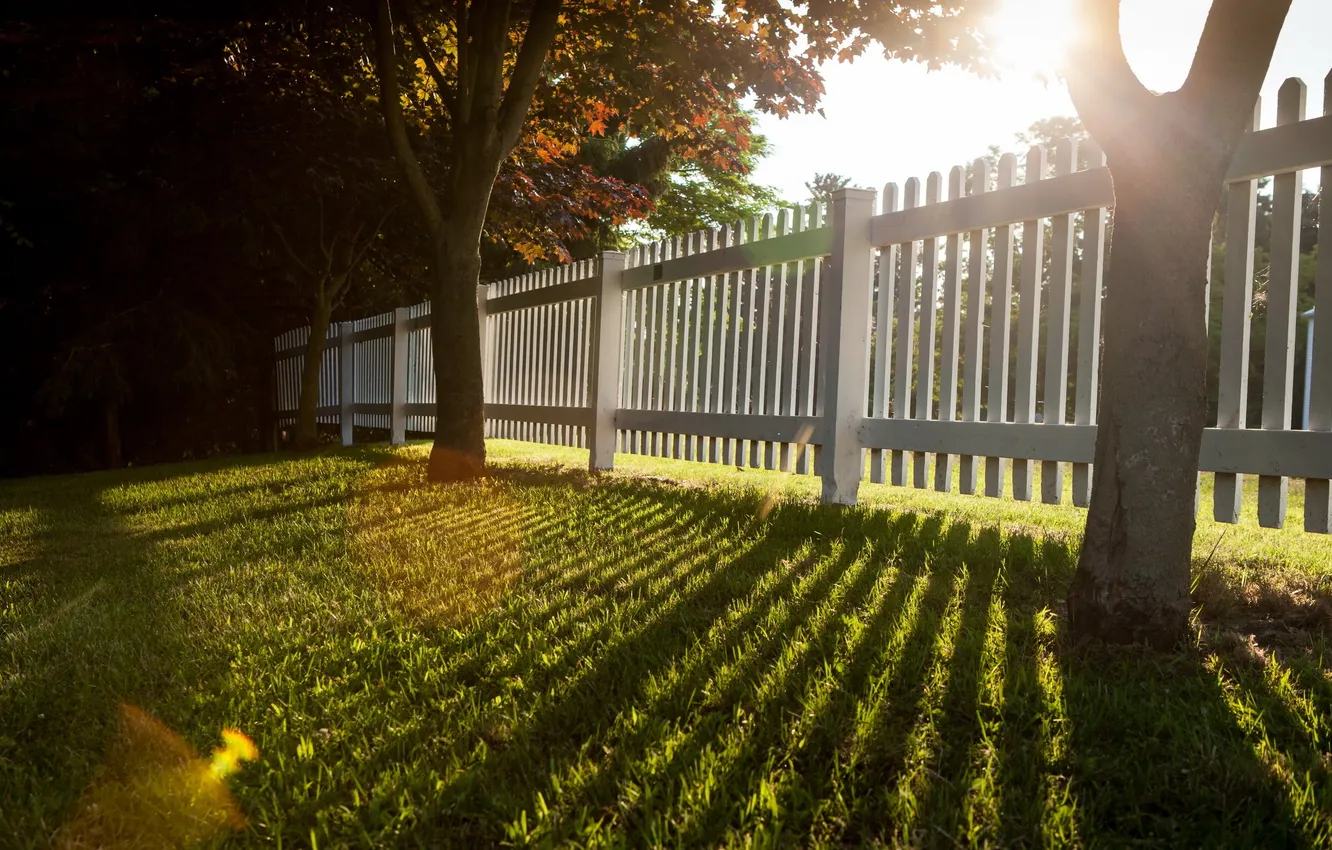 Photo wallpaper summer, grass, light, the fence, shadow