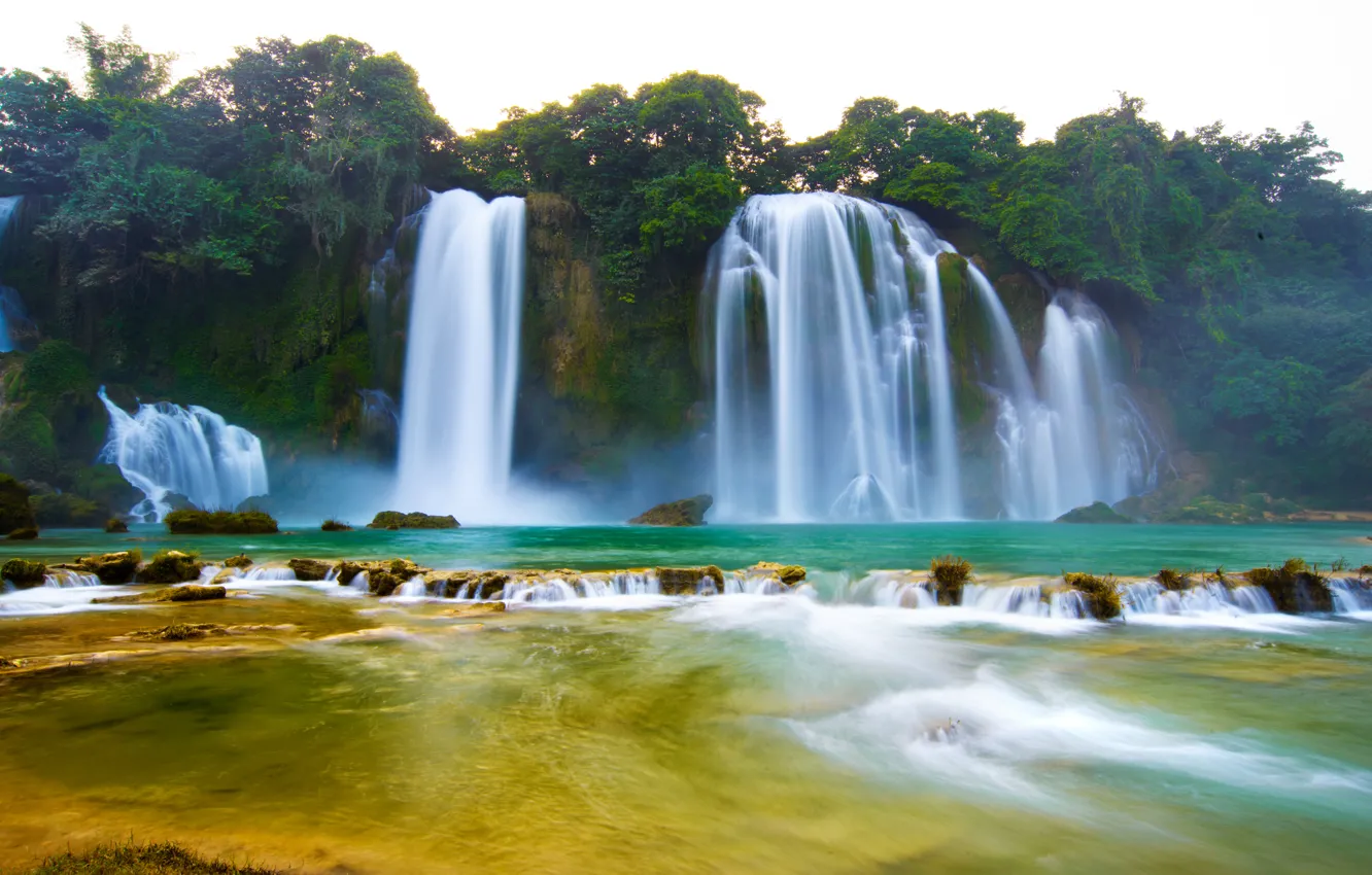 Photo wallpaper forest, water, trees, landscape, waterfall