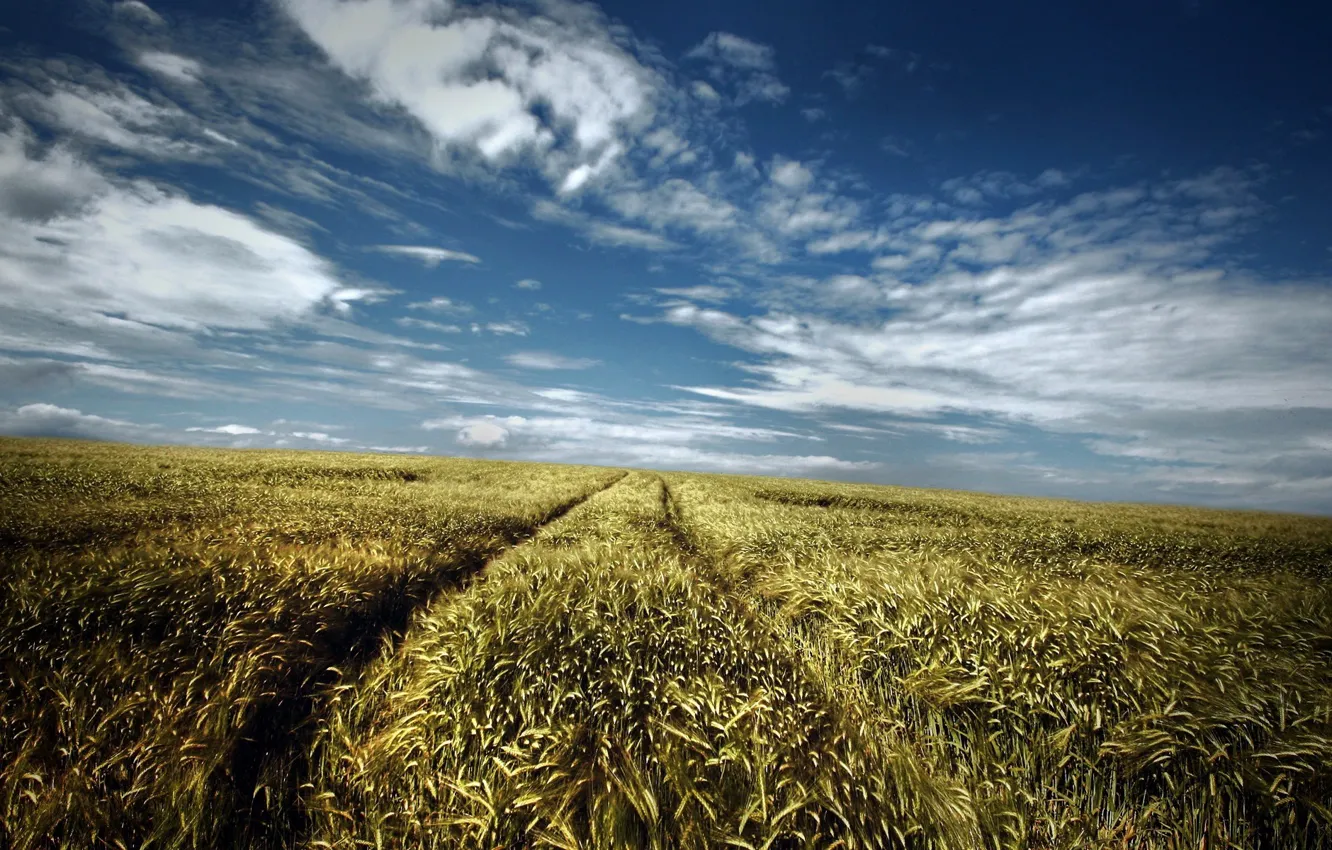 Photo wallpaper road, field, summer, the sky