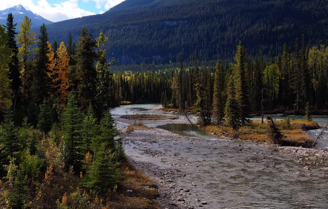 Photo wallpaper forest, trees, mountains, river, stones, Canada, Mount Robson Provincial Park