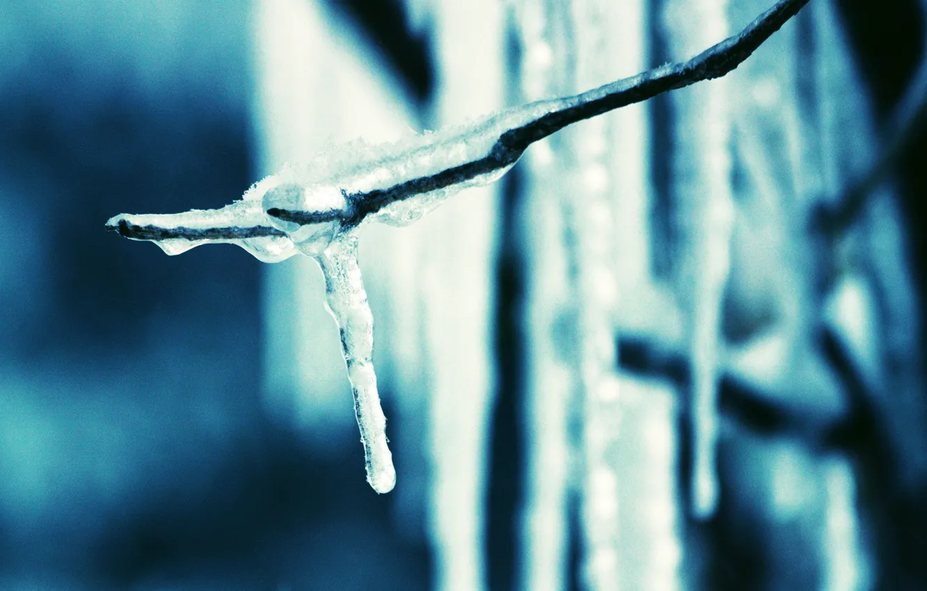 Photo wallpaper ice, branches, blue, icicles