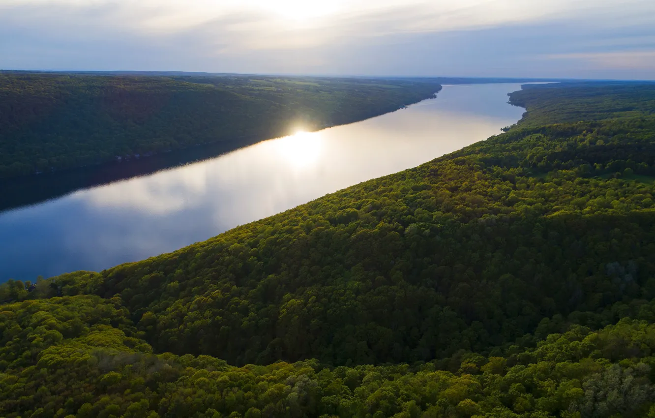 Photo wallpaper forest, landscape, river, panorama