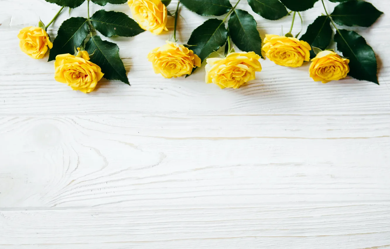 Photo wallpaper flowers, roses, yellow, summer, yellow, wood, flowers, roses
