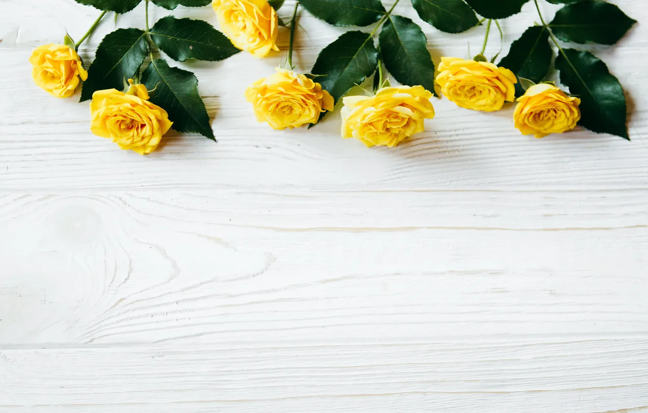 Photo wallpaper flowers, yellow, roses, summer, yellow, wood, flowers, roses