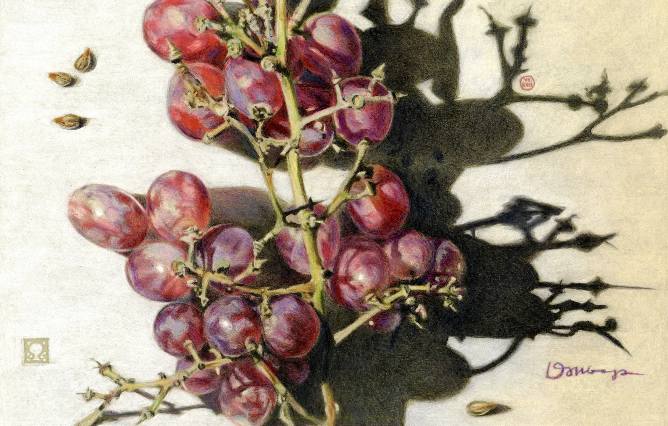 Photo wallpaper figure, shadow, grapes, art
