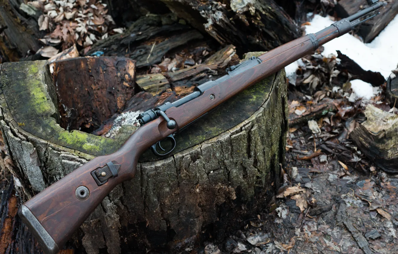 Photo wallpaper rifle, 1944, To 98