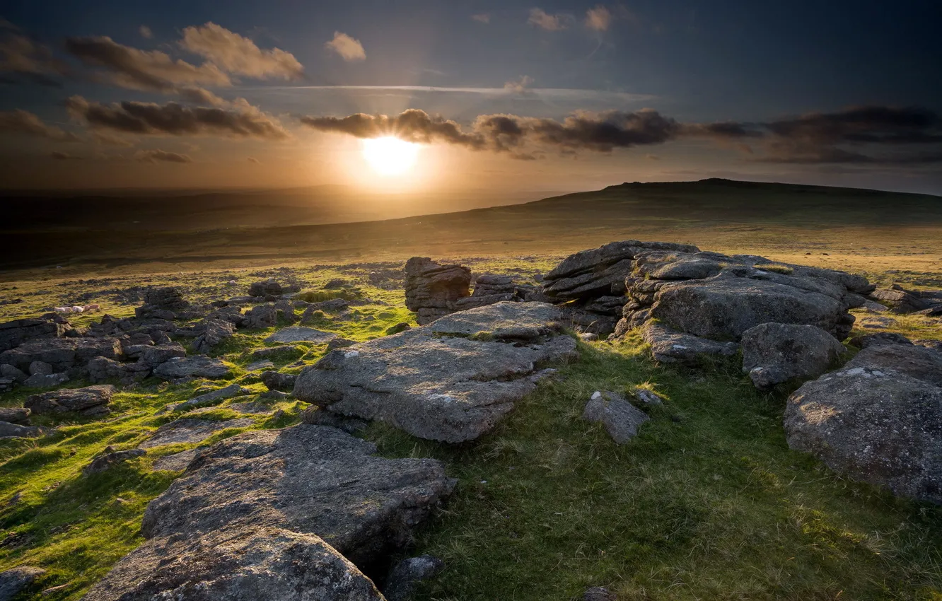 Photo wallpaper field, sunset, stones
