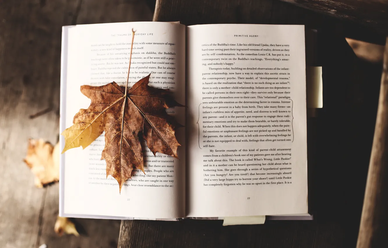 Photo wallpaper Autumn, Wallpaper, Mood, Text, Book