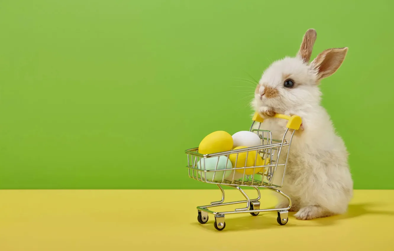 Photo wallpaper white, pose, basket, eggs, rabbit, Easter, truck, Bunny