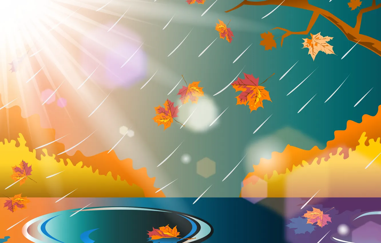 Photo wallpaper autumn, leaves, branches, rain, puddle, the rays of the sun