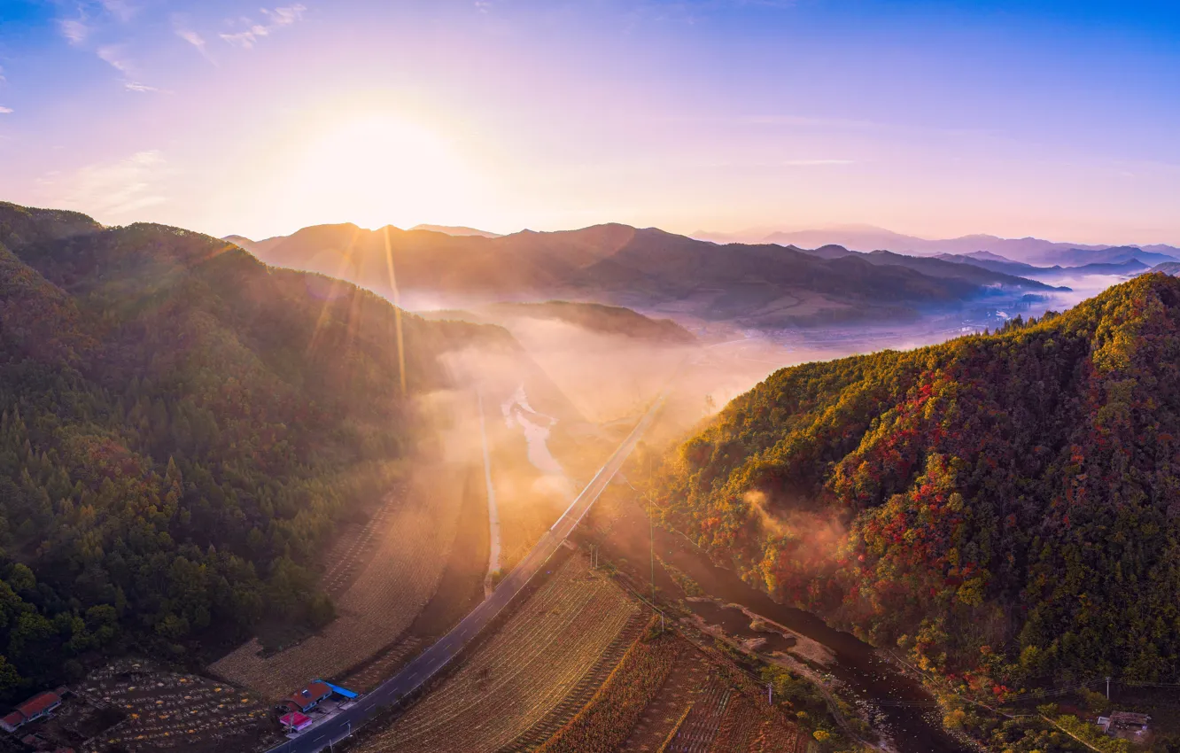 Photo wallpaper road, field, forest, the sky, the sun, rays, light, fog