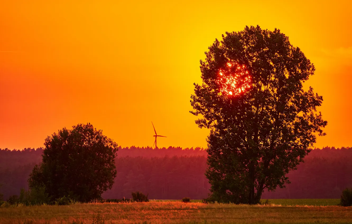 Photo wallpaper summer, landscape, sunset, three