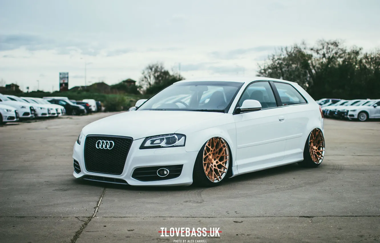 Photo wallpaper Audi, white, Germany, quattro, tuning, low, stance, Wheels