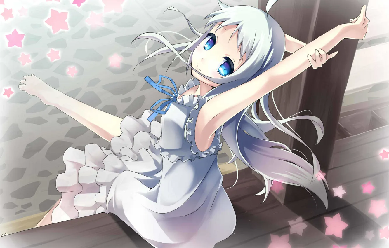 Photo wallpaper look, girl, joy, the wind, art, Honma Meiko, makadamia, Unprecedented Flower