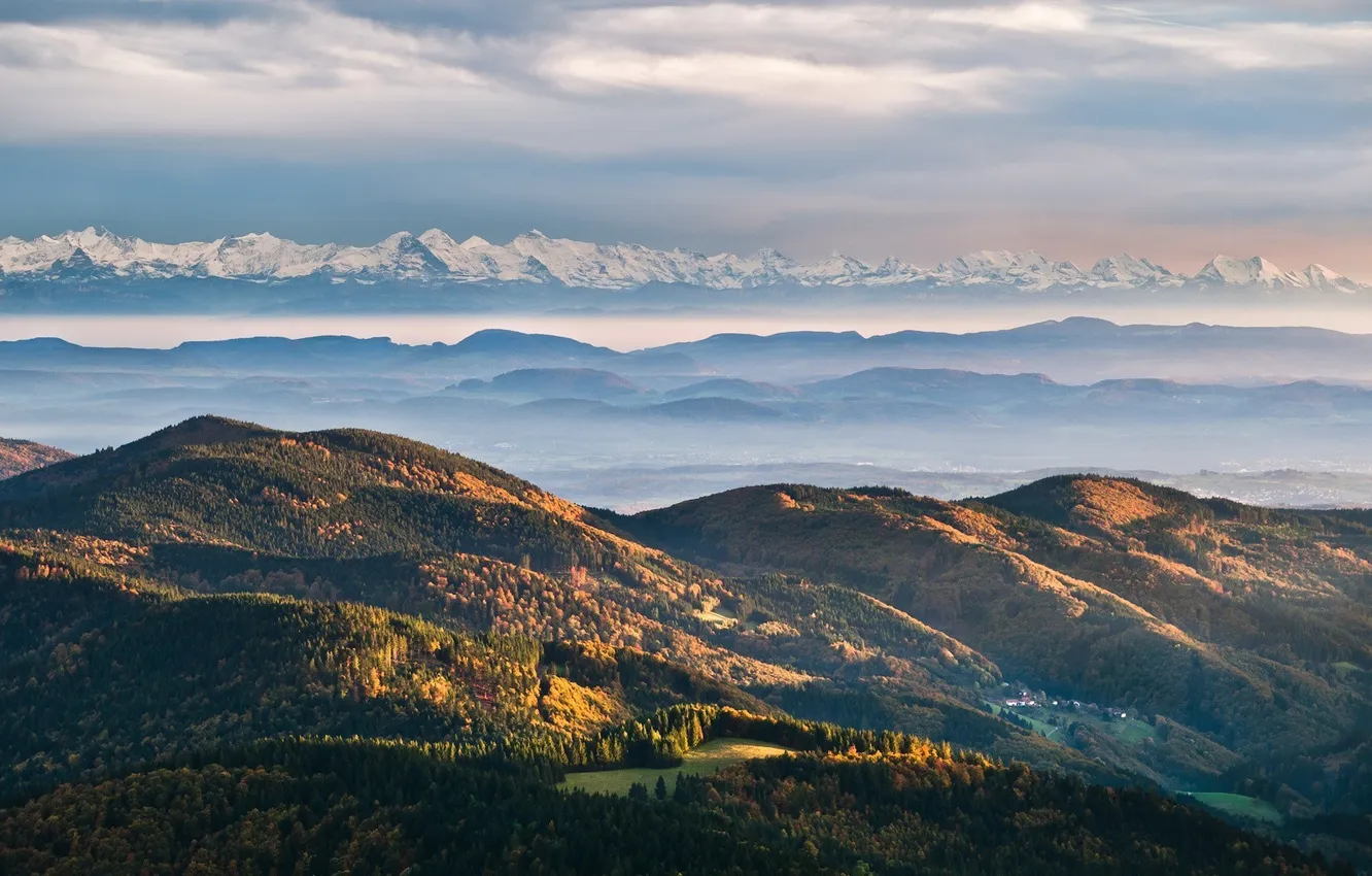 Photo wallpaper forest, trees, landscape, mountains, nature, rocks