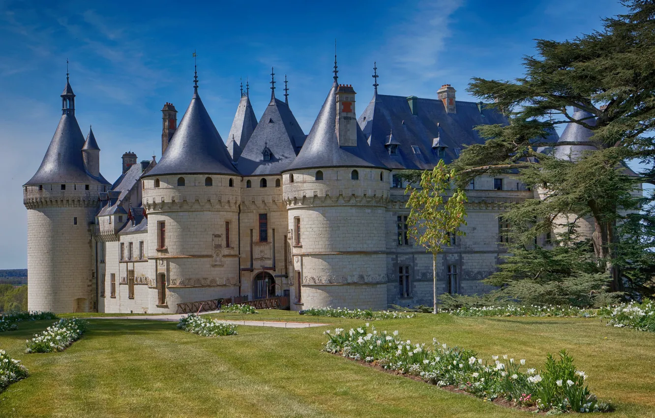 Photo wallpaper trees, flowers, Park, castle, France, architecture, France, Castle of Chaumont-sur-Loire