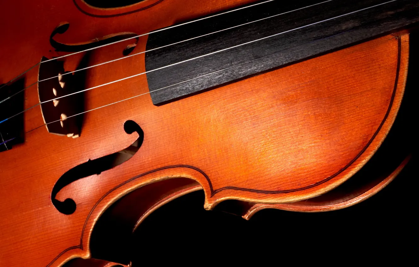 Photo wallpaper macro, background, black, violin, strings