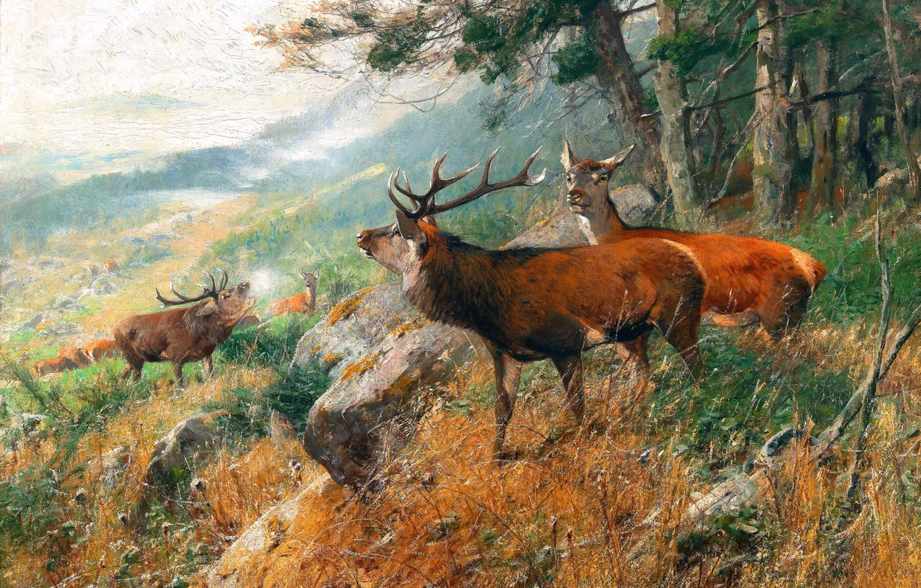 Photo wallpaper grass, trees, picture, deer, roar, German artist, Christian Kroner, Christian Kroner