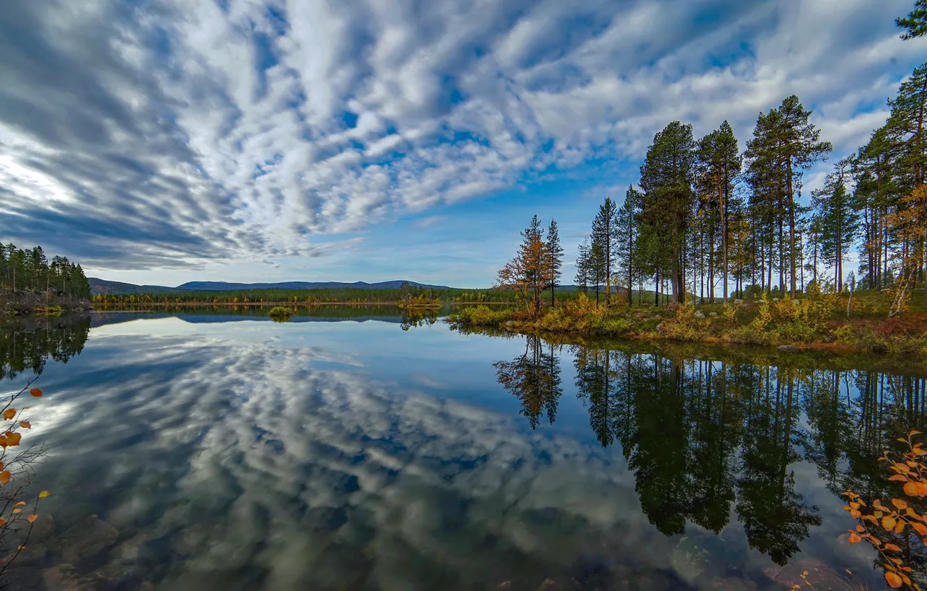 Photo wallpaper autumn, the sky, trees, lake, reflection, Sweden, Sweden, Lapland