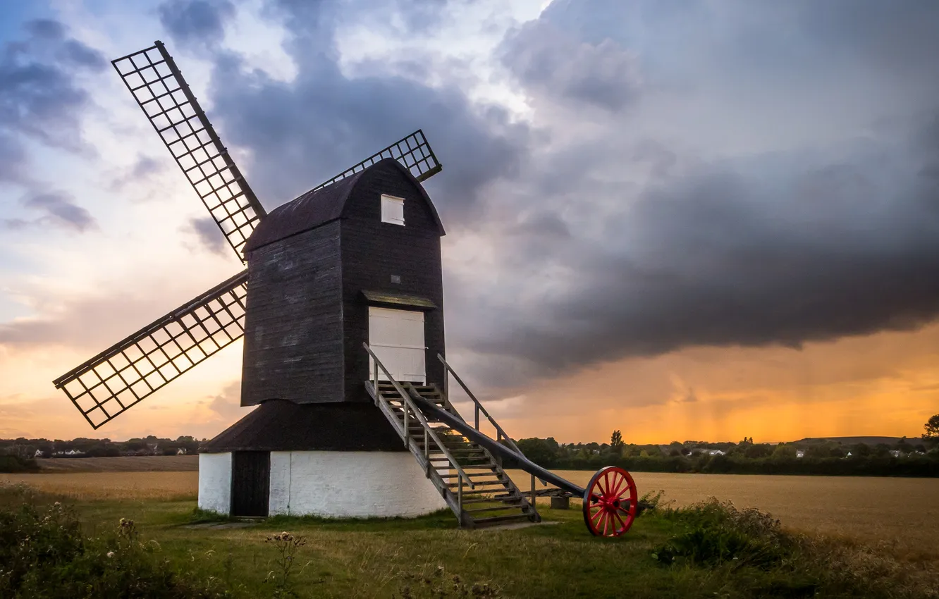 Photo wallpaper field, forest, the sky, landscape, nature, river, plant, horizon