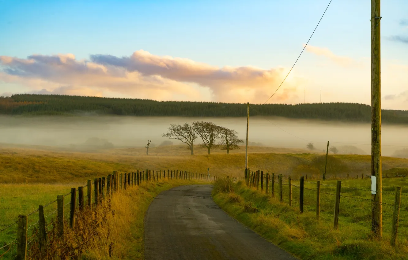Photo wallpaper grass, forest, road, sky, trees, landscape, nature, clouds