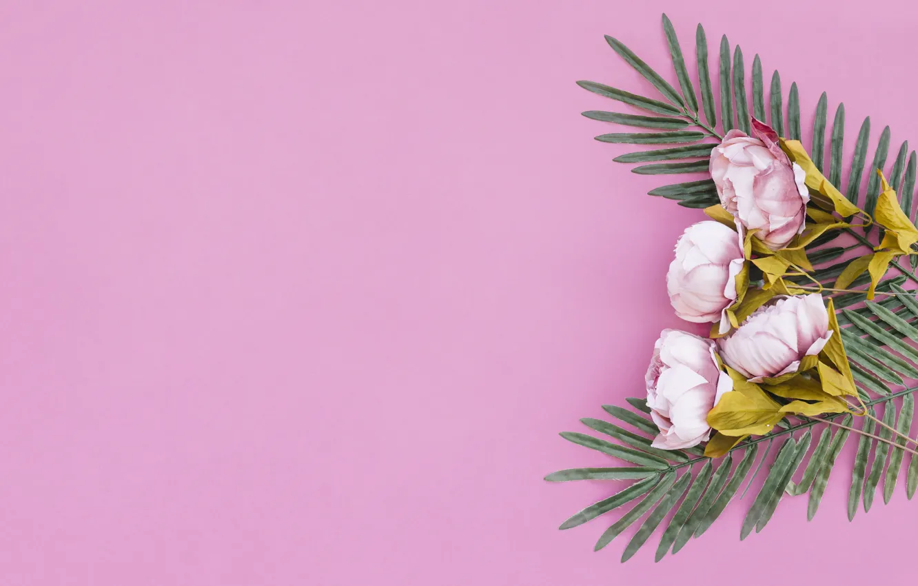 Photo wallpaper background, bouquet, peonies, the palm leaf