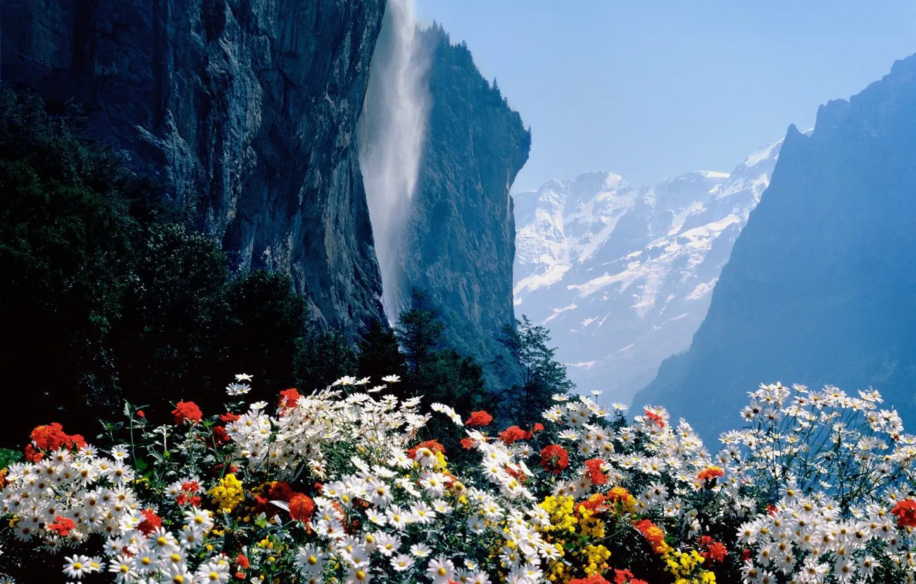 Photo wallpaper Flowers, Waterfall, Switzerland