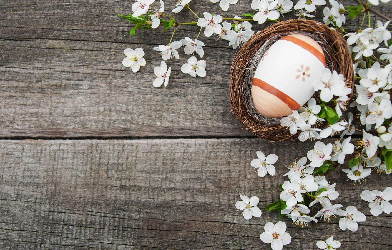 Photo wallpaper flowers, eggs, spring, Easter, happy, wood, blossom, flowers