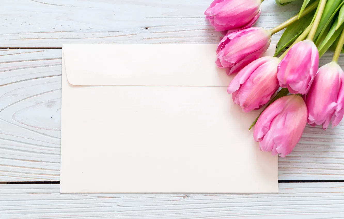 Photo wallpaper flowers, tulips, pink, fresh, wood, pink, flowers, tulips