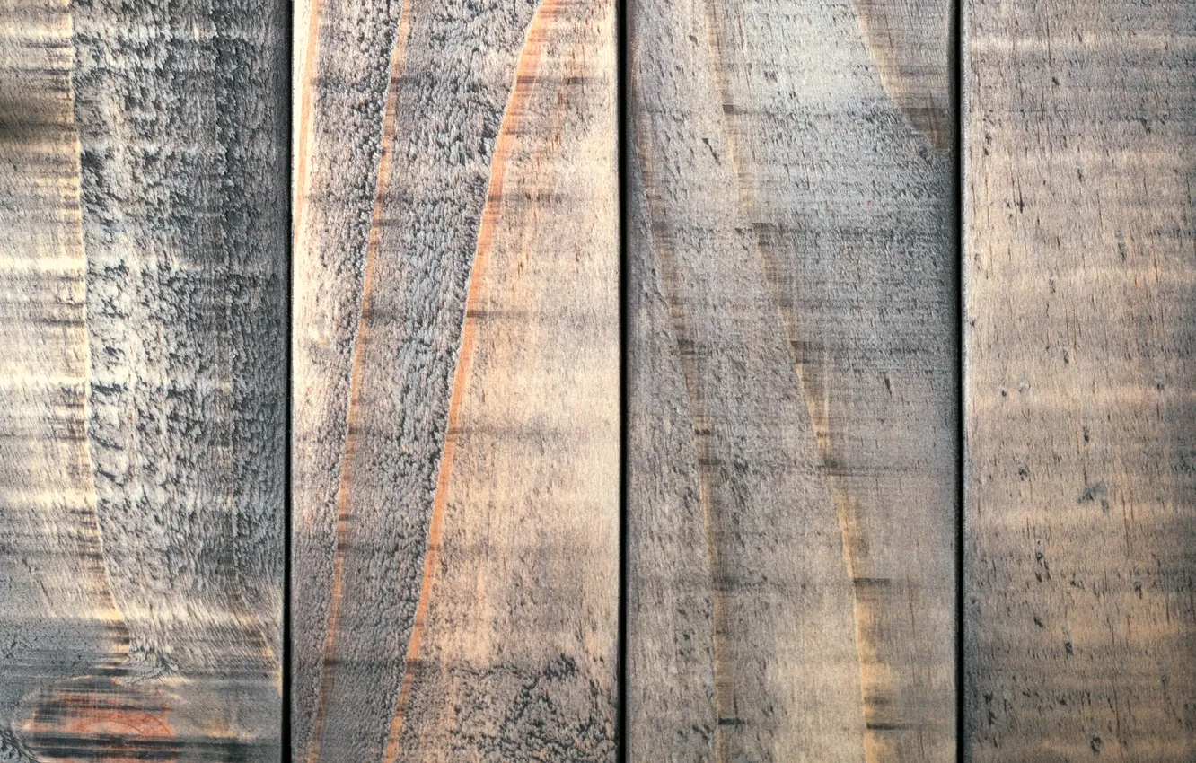 Photo wallpaper color, texture, wood