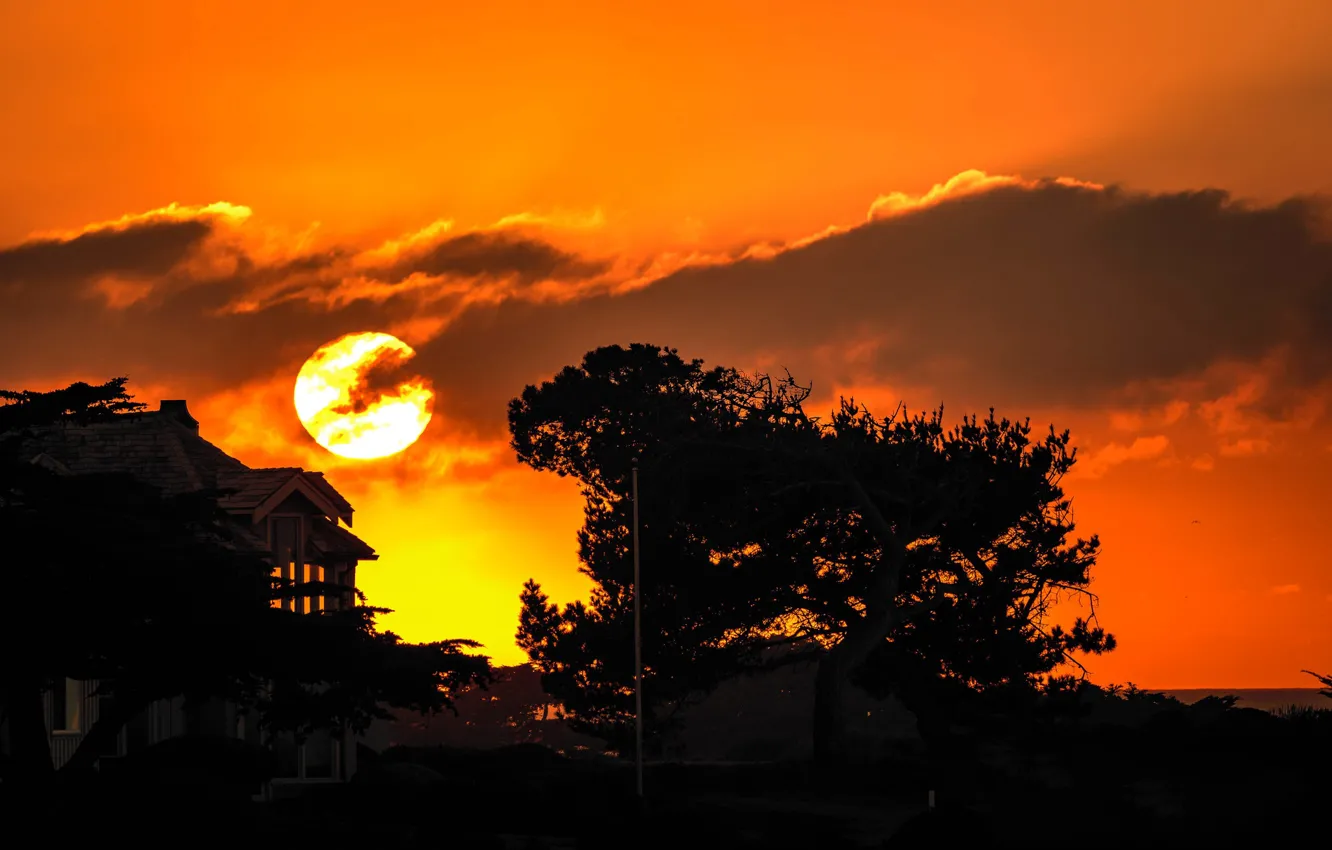 Photo wallpaper clouds, night, the moon, home, silhouette