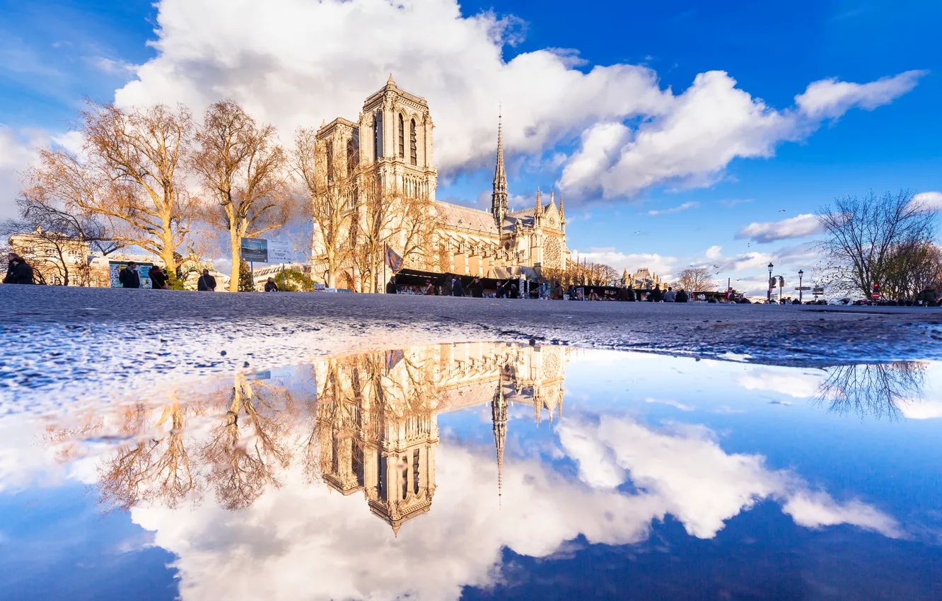Photo wallpaper reflection, France, Paris, Notre Dame Cathedral