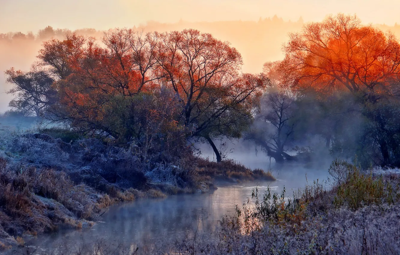 Photo wallpaper nature, fog, river, morning