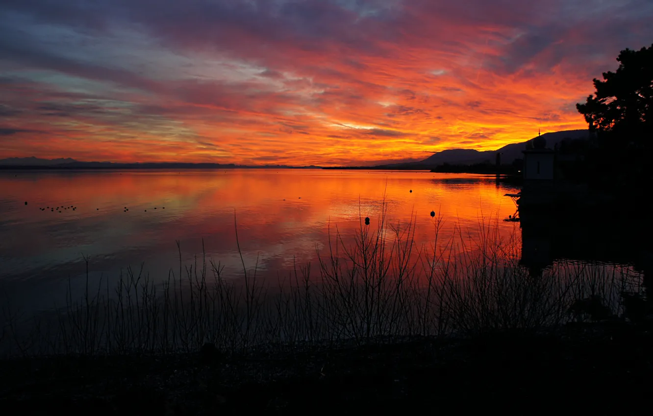 Photo wallpaper the sky, water, trees, nature, widescreen
