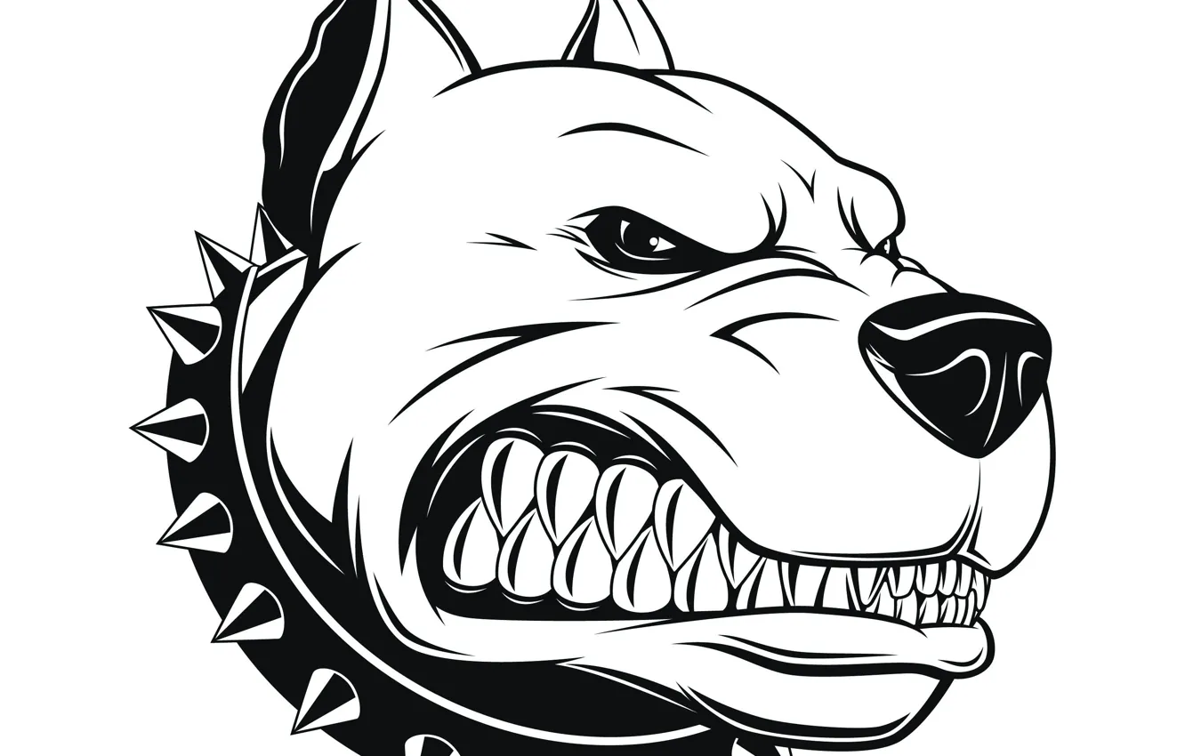 Photo wallpaper art, Pitbull, avatar, Pit bull, angry dog, the dog