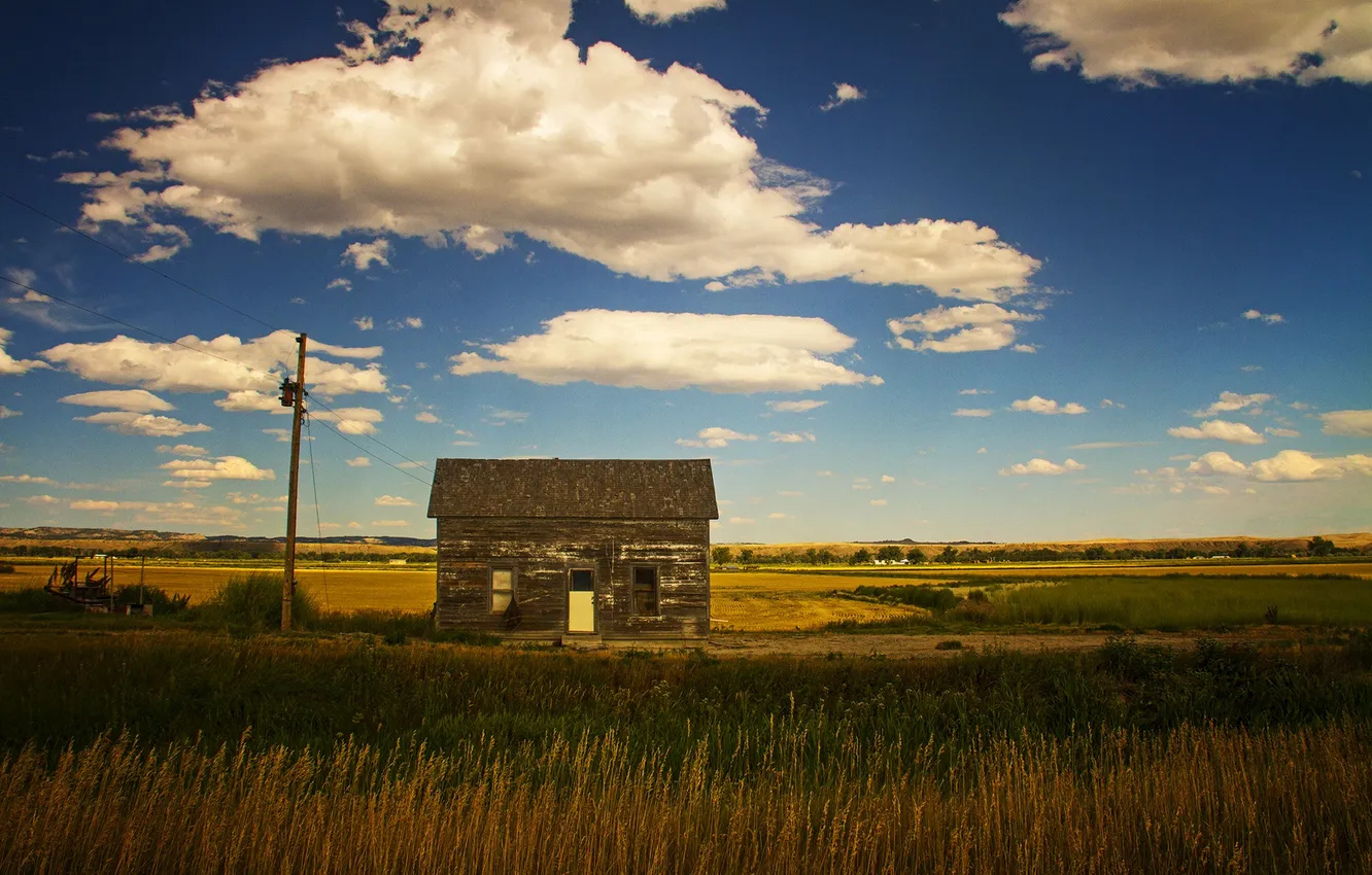 Photo wallpaper field, the sky, the sun, clouds, home, the bushes, farm, power lines