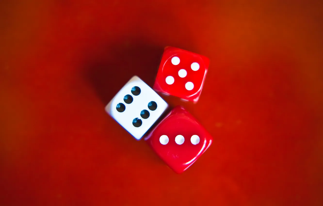 Photo wallpaper cubes, the game, bones