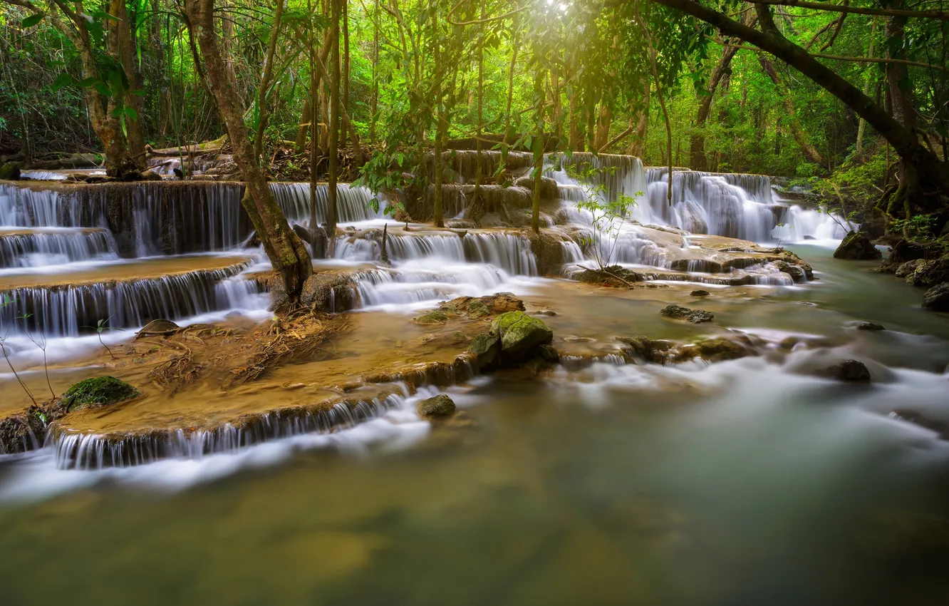 Photo wallpaper autumn, forest, trees, river, stream, cascade