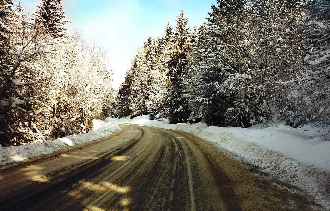 Photo wallpaper winter, road, snow, trees, nature, photo, road, winter Wallpaper