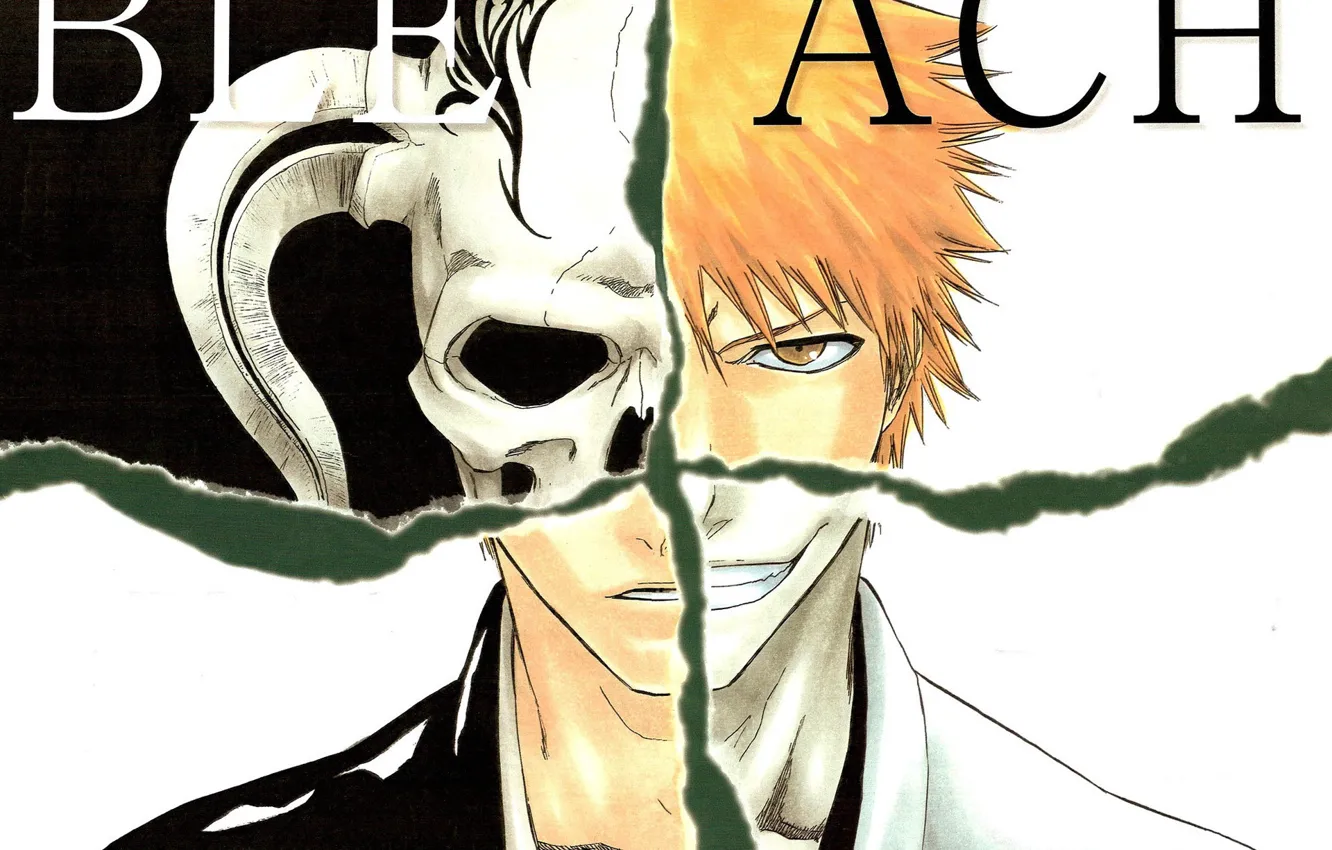 Photo wallpaper Bleach, Bleach, Ichigo Kurosaki, Ichigo Kurosaki, mask blank, Shinigami, by Tite Kubo