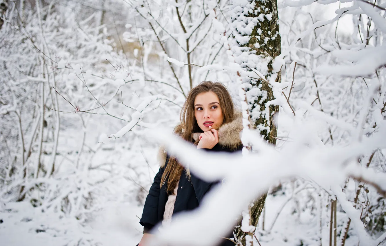Photo wallpaper winter, forest, look, girl, snow, branches, face, pose