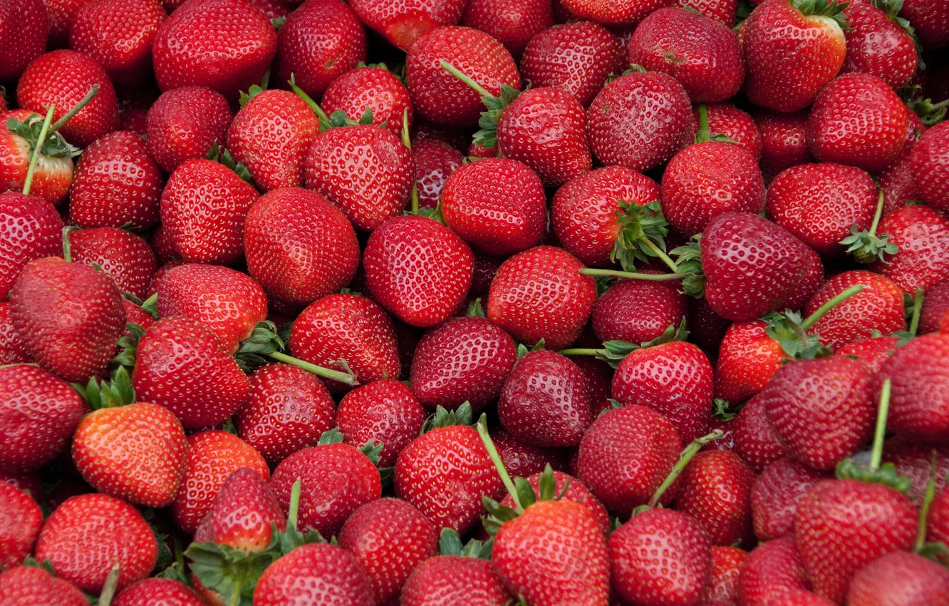 Photo wallpaper berries, food, strawberry