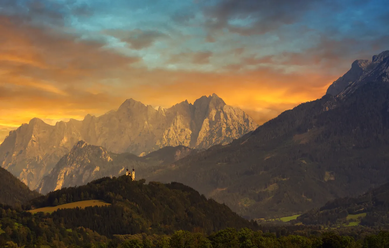 Photo wallpaper forest, the sky, clouds, sunset, mountains, fog, rocks, tops