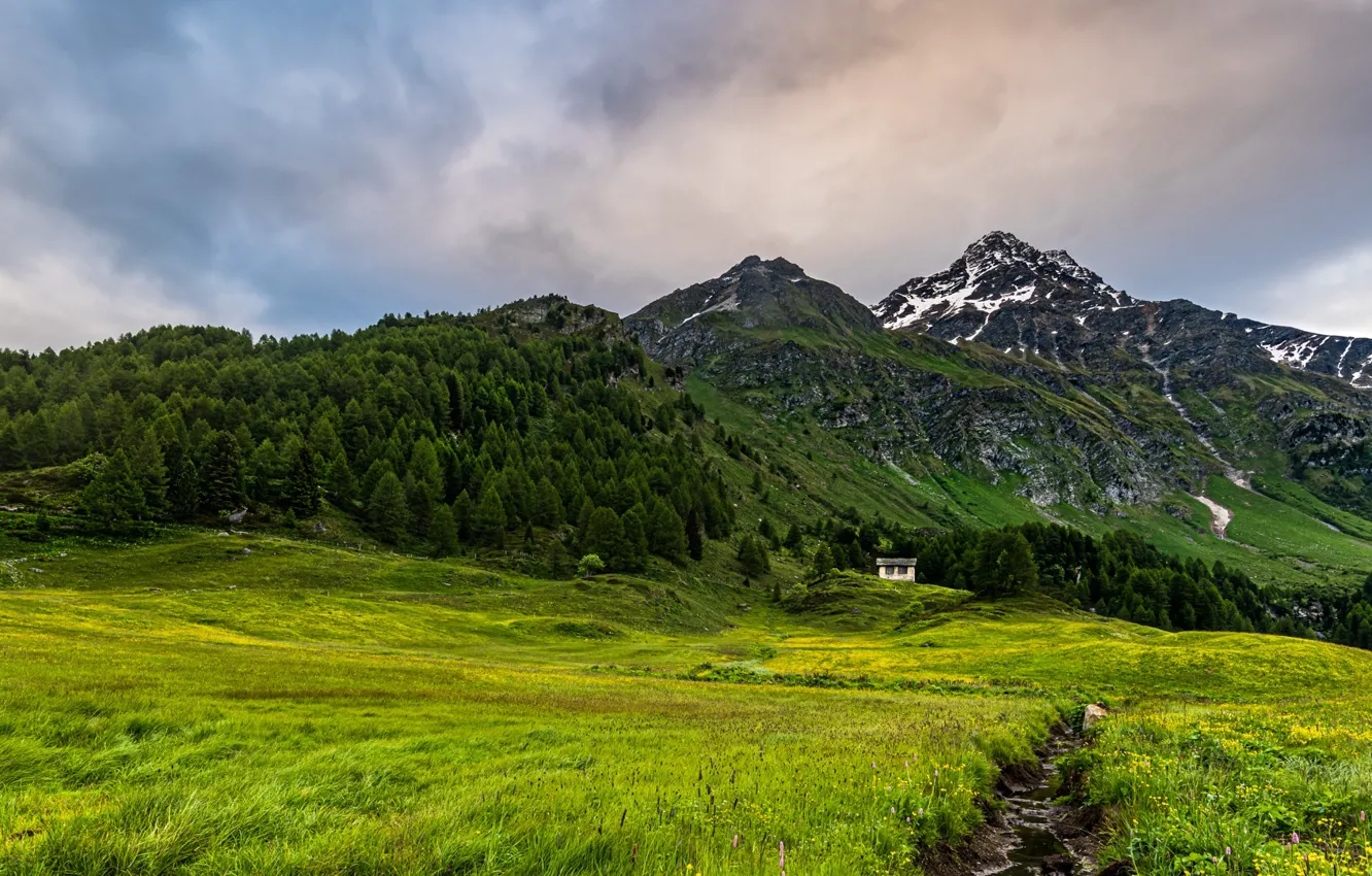 Photo wallpaper mountains, Switzerland, Alps